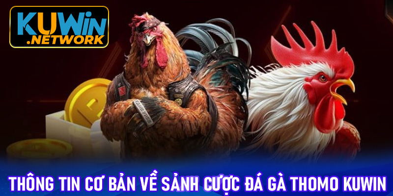 Thông tin cơ bản về sảnh cược đá gà Thomo Kuwin