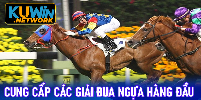 Cung cấp các giải đua ngựa hàng đầu thị trường