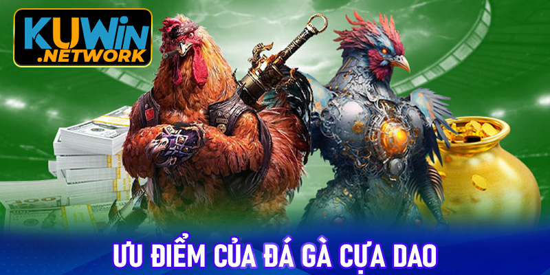 Những ưu điểm giúp đá gà cựa dao là điểm đến lý tưởng