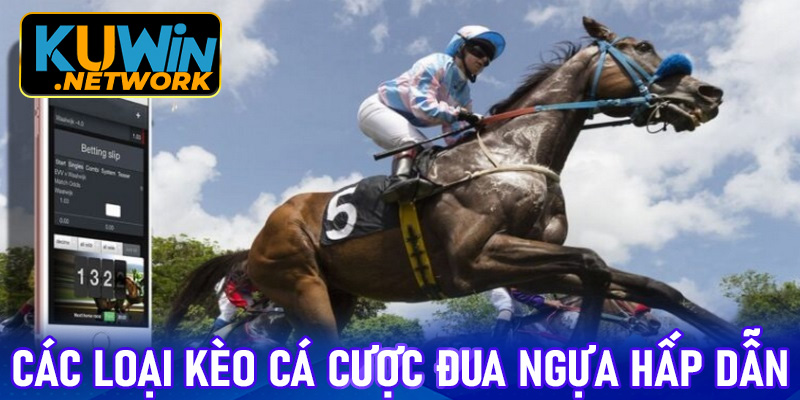 Các loại kèo cá cược đua ngựa hấp dẫn