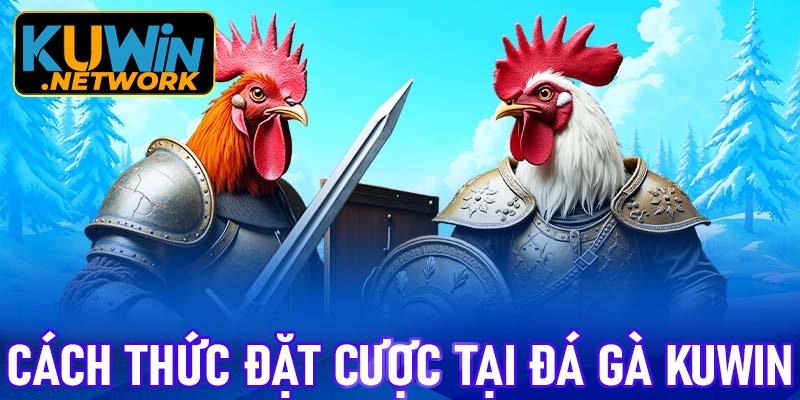 Cách thức đặt cược tại đá gà Kuwin