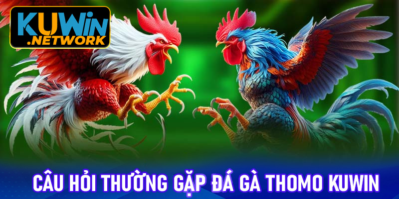 FAQ - Giải đáp một vài câu hỏi thường gặp tại đá gà Thomo Kuwin
