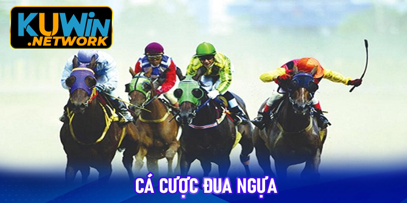 Cá cược đua ngựa Kuwin